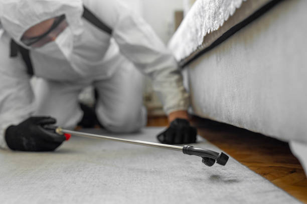 Professional Termite Control technician working in Tipton, IA